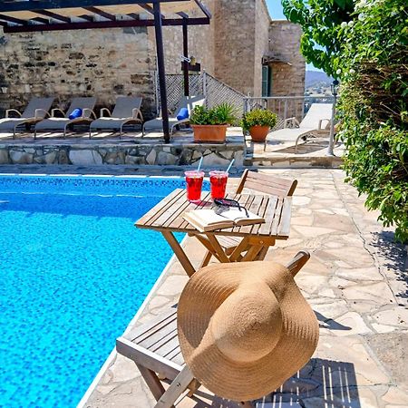 Aphrodite'S Pool Retreat Skarinou Exterior photo
